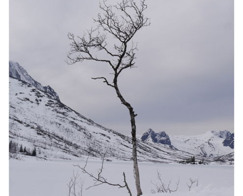 Fotoreis Senja - Noorwegen - ©Jeanet Kramer