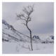 Fotoreis Senja - Noorwegen - ©Jeanet Kramer