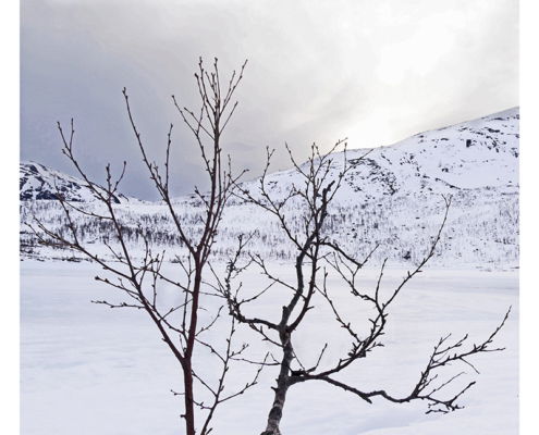 Fotoreis Senja - Noorwegen - ©Jeanet Kramer