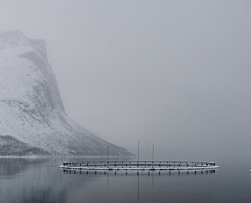 Fotoreis Senja - Noorwegen - ©Lia van Bergem