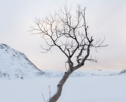 Fotoreis Senja - Noorwegen - ©Lucie Kapitein