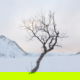 Fotoreis Senja - Noorwegen - ©Lucie Kapitein