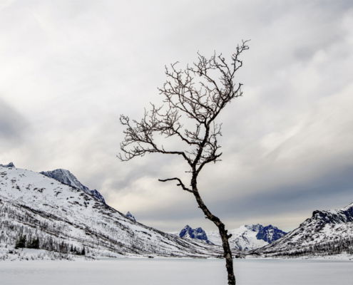 Fotoreis Senja - Noorwegen - ©Rob Schemkes