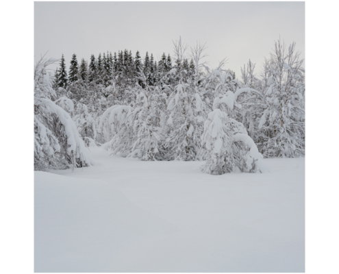 Fotoreis Senja - Noorwegen - ©Marjo Buyten