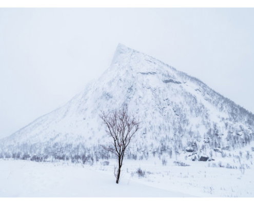 Fotoreis Senja - Noorwegen - ©Peter van Loenhout