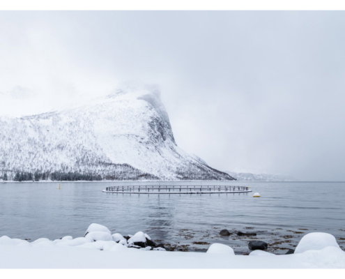 Fotoreis Senja - Noorwegen - ©Peter van Loenhout