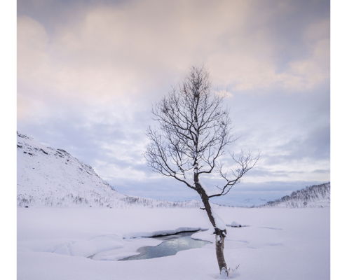 Fotoreis Senja - Noorwegen - ©Astrid van Dijk