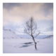 Fotoreis Senja - Noorwegen - ©Astrid van Dijk