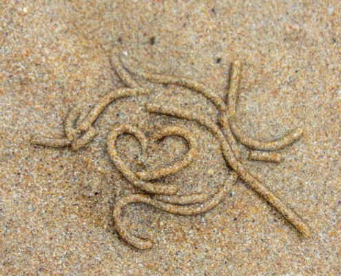 Fotoreis Donegal Ierland - ©Lia de Kok