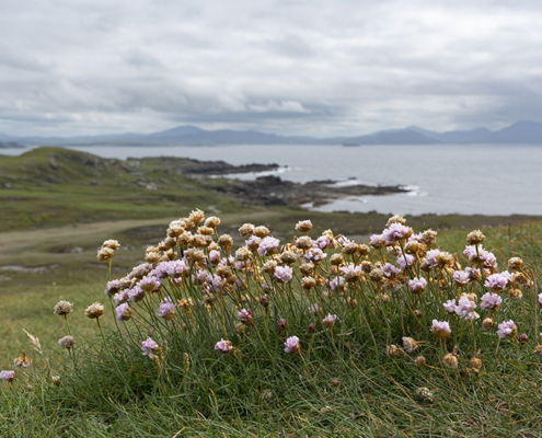 Fotoreis Donegal Ierland - ©Marie-Jose Schellekens