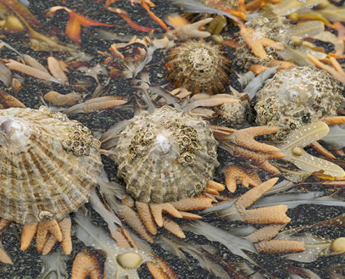 Fotoreis Donegal Ierland - ©Marcel Batist