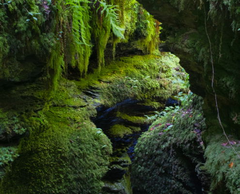 Fotoreis Dartmoor & Exmoor - Engeland - ©Kristel Schneider