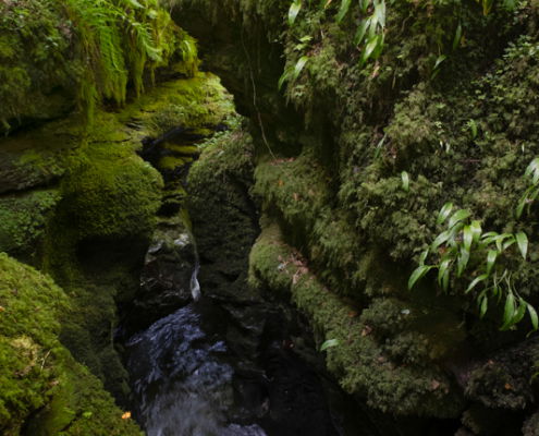 Fotoreis Dartmoor & Exmoor - Engeland - ©Kristel Schneider