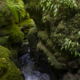 Fotoreis Dartmoor & Exmoor - Engeland - ©Kristel Schneider