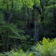 Fotoreis Dartmoor & Exmoor - Engeland - ©Kristel Schneider