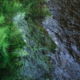 Fotoreis Dartmoor & Exmoor - Engeland - ©Kristel Schneider