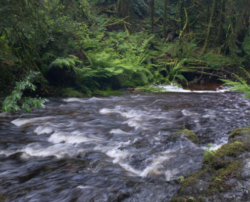 Fotoreis Dartmoor & Exmoor - Engeland - ©Kristel Schneider