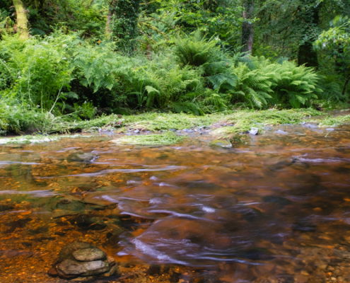 Fotoreis Dartmoor & Exmoor - Engeland - ©Kristel Schneider