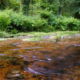 Fotoreis Dartmoor & Exmoor - Engeland - ©Kristel Schneider