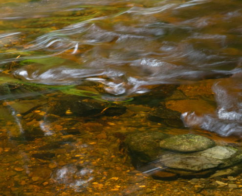 Fotoreis Dartmoor & Exmoor - Engeland - ©Kristel Schneider