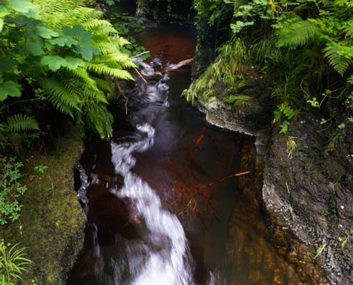 Fotoreis Dartmoor & Exmoor - Engeland - ©Kristel Schneider