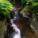 Fotoreis Dartmoor & Exmoor - Engeland - ©Kristel Schneider