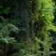 Fotoreis Dartmoor & Exmoor - Engeland - ©Kristel Schneider