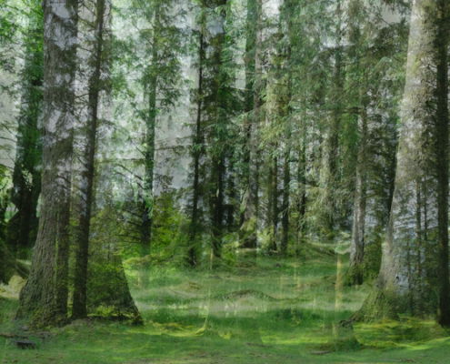Fotoreis Dartmoor & Exmoor - Engeland - ©Kristel Schneider