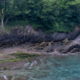 Fotoreis Dartmoor & Exmoor - Engeland - ©Kristel Schneider
