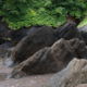 Fotoreis Dartmoor & Exmoor - Engeland - ©Kristel Schneider