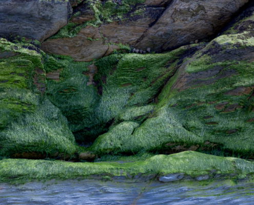 Fotoreis Dartmoor & Exmoor - Engeland - ©Kristel Schneider