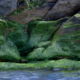 Fotoreis Dartmoor & Exmoor - Engeland - ©Kristel Schneider