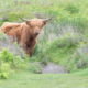 Fotoreis Dartmoor & Exmoor - Engeland - ©Kristel Schneider