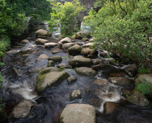 Fotoreis Dartmoor & Exmoor - Engeland - ©Kristel Schneider