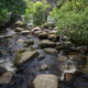 Fotoreis Dartmoor & Exmoor - Engeland - ©Kristel Schneider
