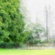 Fotoreis Dartmoor & Exmoor - Engeland - ©Kristel Schneider