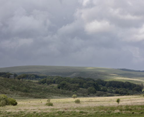Fotoreis Dartmoor & Exmoor - Engeland - ©Kristel Schneider
