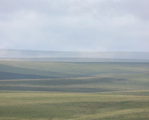 Fotoreis Dartmoor & Exmoor - Engeland - ©Kristel Schneider