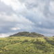 Fotoreis Dartmoor & Exmoor - Engeland - ©Kristel Schneider