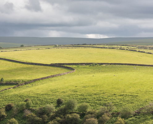 Fotoreis Dartmoor & Exmoor - Engeland - ©Kristel Schneider