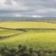Fotoreis Dartmoor & Exmoor - Engeland - ©Kristel Schneider