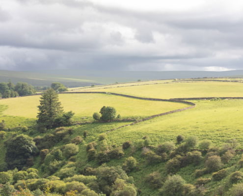 Fotoreis Dartmoor & Exmoor - Engeland - ©Kristel Schneider