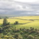 Fotoreis Dartmoor & Exmoor - Engeland - ©Kristel Schneider