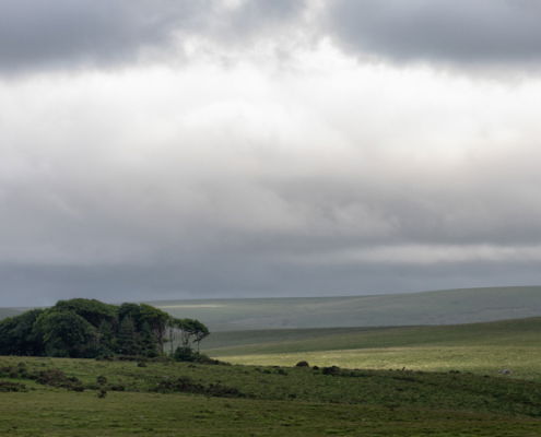 Fotoreis Dartmoor & Exmoor - Engeland - ©Kristel Schneider