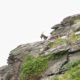Fotoreis Dartmoor & Exmoor - Engeland - ©Kristel Schneider