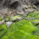 Fotoreis Dartmoor & Exmoor - Engeland - ©Kristel Schneider