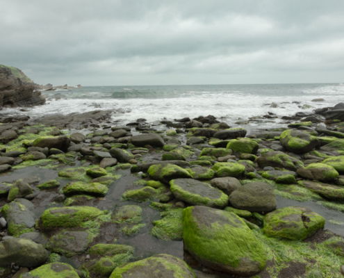 Fotoreis Dartmoor & Exmoor - Engeland - ©Kristel Schneider