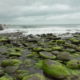Fotoreis Dartmoor & Exmoor - Engeland - ©Kristel Schneider
