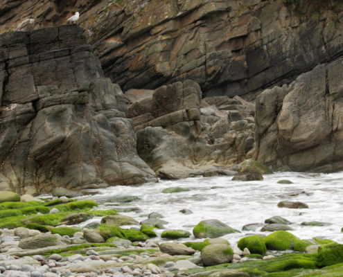 Fotoreis Dartmoor & Exmoor - Engeland - ©Kristel Schneider