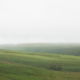 Fotoreis Dartmoor & Exmoor - Engeland - ©Kristel Schneider